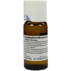 BRYOPHYLLUM MERC CULT D 3, 50 ML – PZN 2591956