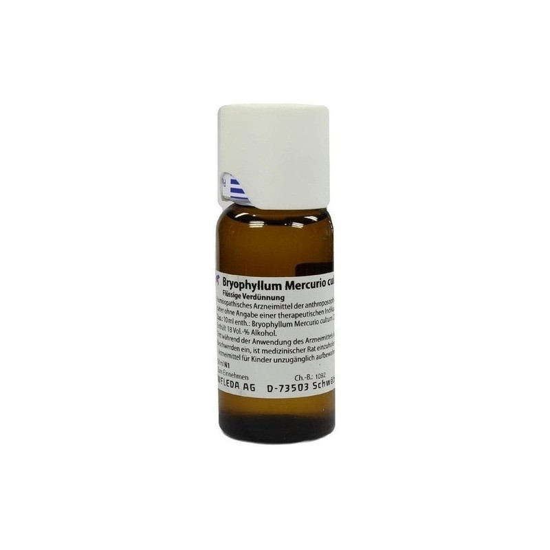 BRYOPHYLLUM MERC CULT D 3, 50 ML – PZN 2591956