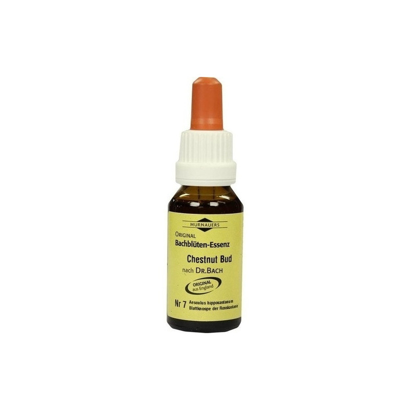 Bachblüten Murnauer Tropfen Chestnut Bud, 20 ML – PZN 7752507
