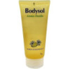 Bodysol Aroma-Duschgel Lemon-Zedernholz, 100 ML – PZN 9001343
