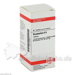 BRYOPHYLLUM D 6, 80 ST – PZN 546911