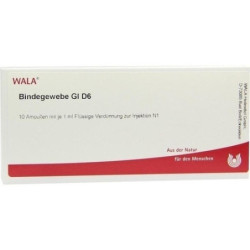BINDEGEWEBE GL D 6, 10X1 ML – PZN 2831142