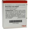 BRONCHUS SUIS INJ OR, 10 ST – PZN 156699