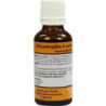 DRUESENTROPFEN II, 30 ML – PZN 306213