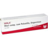 DISCI CP C PULSATILLA UNGT, 30 G – PZN 2198302