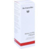 Dr. Hauschka Birken Arnika Pflegeöl, 75 ML – PZN 9432333