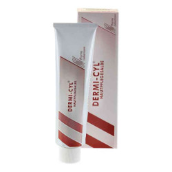 Dermi Cyl Hautpflegesalbe (100 g) – PZN 4165092