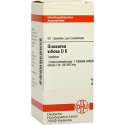 Dioscorea Villosa D 6 Tabletten (80 stk) – PZN 2629765