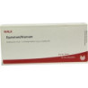 EQUISETUM/STANNUM, 10X1 ML – PZN 1751429