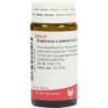 EUPHRASIA E PL TOTA D 4, 20 G – PZN 8785845