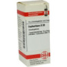 Euphorbium D 30 Globuli (10 g) – PZN 7247301
