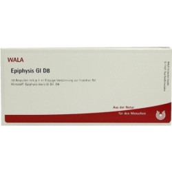 EPIPHYSIS GL D 8, 10X1 ML – PZN 3357381