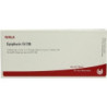 EPIPHYSIS GL D 8, 10X1 ML – PZN 3357381