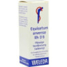 EQUISETUM ARV RH D 6, 20 ML – PZN 1630140
