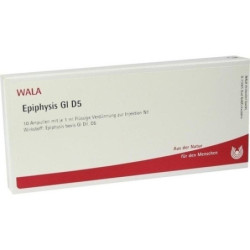 EPIPHYSIS GL D 5, 10X1 ML – PZN 3357458