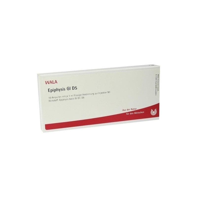 EPIPHYSIS GL D 5, 10X1 ML – PZN 3357458