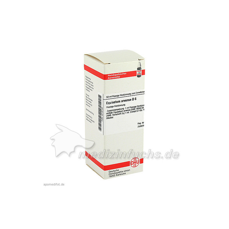 EQUISETUM ARV D 6, 50 ML – PZN 4216145
