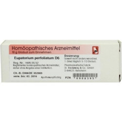 Eupatorium perfoliatum D6, 10 G – PZN 908395