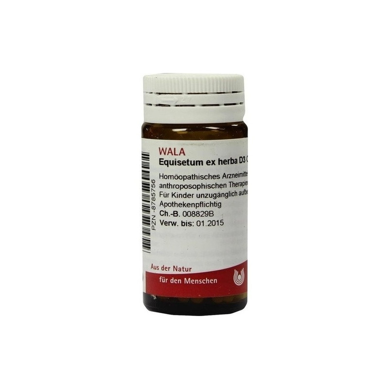 EQUISETUM EX HERBA D 3, 20 G – PZN 8785756