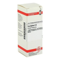 Eucalyptus D 6 Dilution (20 ml) – PZN 7167424