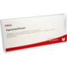 EQUISETUM/VISCUM, 10X1 ML – PZN 1751435