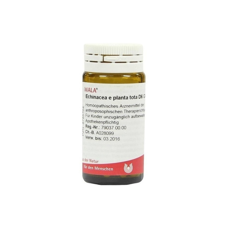 ECHINACEA E PL TOTA D 6, 20 G – PZN 8785704