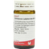 ECHINACEA E PL TOTA D 6, 20 G – PZN 8785704