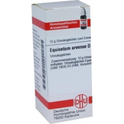 EQUISETUM ARVENSE D 3, 10 G – PZN 7456594