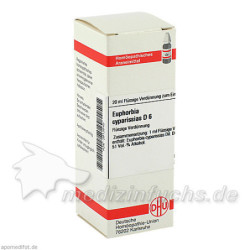 EUPHORBIA CYPARISS D 6, 20 ML – PZN 2613540