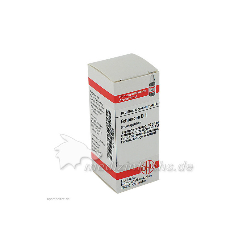 Echinacea (HAB) D 1, 10 G – PZN 2890392