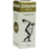 Echoran Aktiv Öl, 30 ML – PZN 1442421