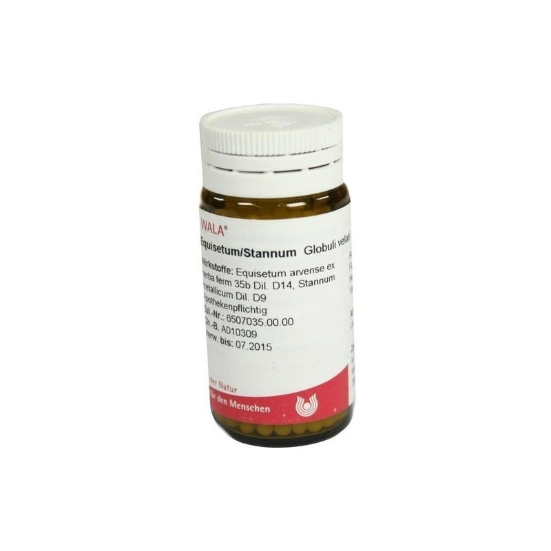 EQUISETUM/STANNUM, 20 G – PZN 8785816