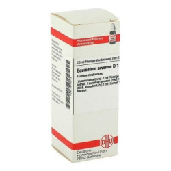 Equisetum Arvense D 1 Dilution (20 ml) – PZN 2613215