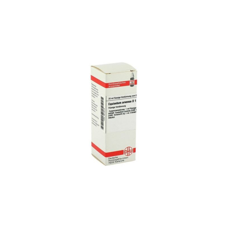 Equisetum Arvense D 1 Dilution (20 ml) – PZN 2613215