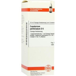Eupatorium Perfoliatum D 6 Dilution (50 ml) – PZN 2898442