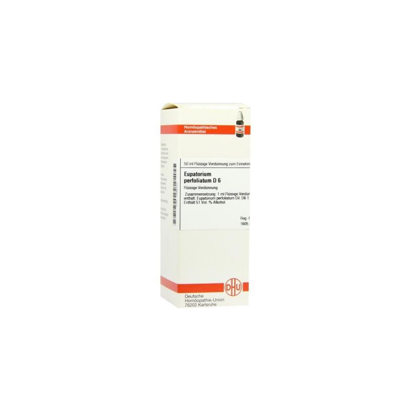 Eupatorium Perfoliatum D 6 Dilution (50 ml) – PZN 2898442