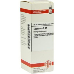 Echinacea Hab D 12 Dilution (20 ml) – PZN 2613126