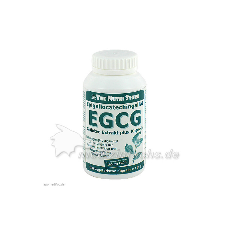 EGCG 100mg Grüntee Extrakt plus, 200 ST – PZN 7590200