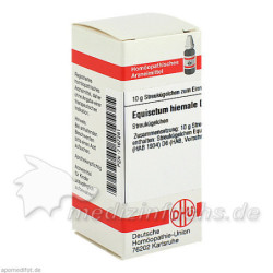 EQUISETUM HIEMALE D 6, 10 G – PZN 7167281