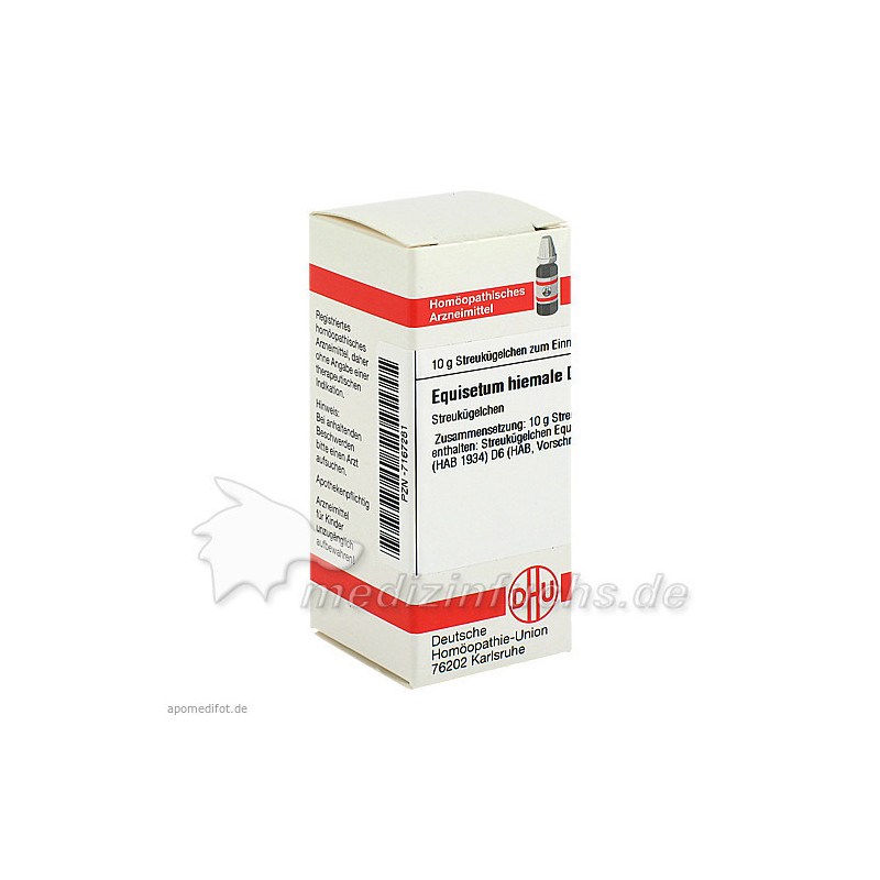 EQUISETUM HIEMALE D 6, 10 G – PZN 7167281