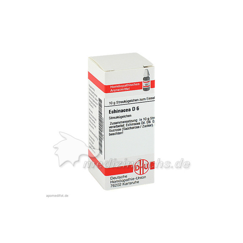Echinacea (HAB) D 6, 10 G – PZN 2890630