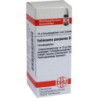 ECHINACEA PURPUR D 1, 10 G – PZN 7247241
