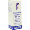 EQUISETUM ARV RH D 3, 20 ML – PZN 1630134