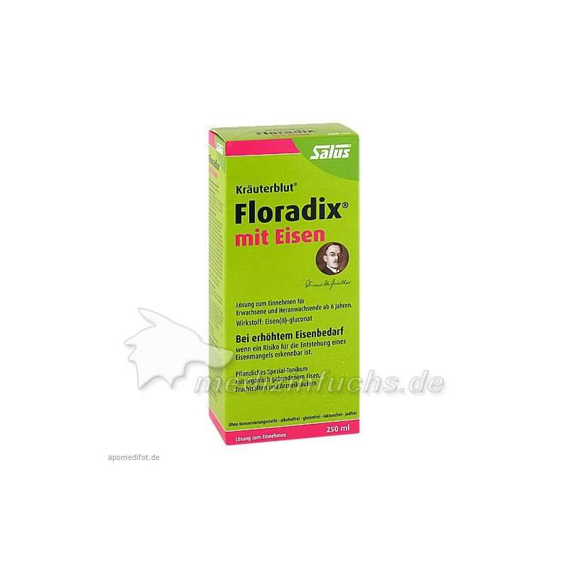 Floradix mit Eisen, 250 ML – PZN 361784