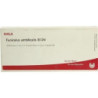 FUNICULUS UMBILICAL GL D 4, 10X1 ML – PZN 2831656