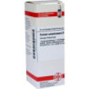 FERRUM ARSENIC D 6, 20 ML – PZN 7167826