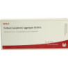 FOLLICULI LYMPH AGG GL D15, 10X1 ML – PZN 2876498
