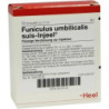 Funiculus umbilical Suis Injeel, 10 ST – PZN 401673