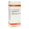 Flor De Piedra D 12 Tabletten (80 stk) – PZN 2630550