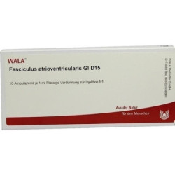 FASCICULUS ATRIOVEN GL D15, 10X1 ML – PZN 3357599
